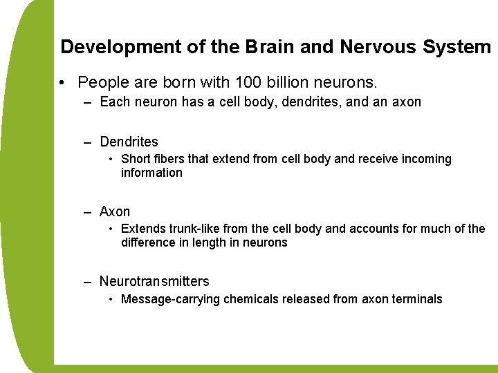 Development of the Brain and Nervous System • People are born with 100 billion