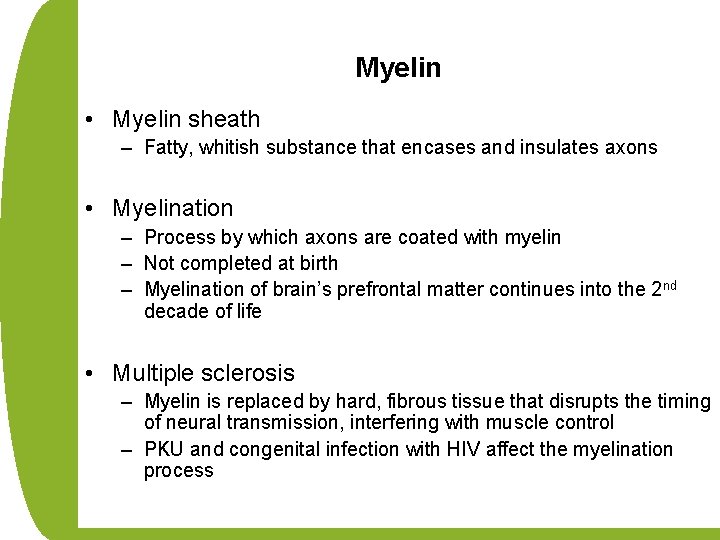 Myelin • Myelin sheath – Fatty, whitish substance that encases and insulates axons •