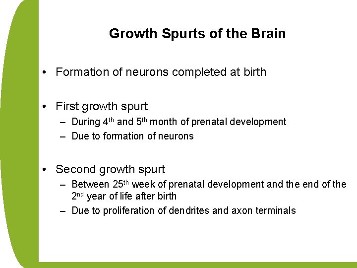 Growth Spurts of the Brain • Formation of neurons completed at birth • First