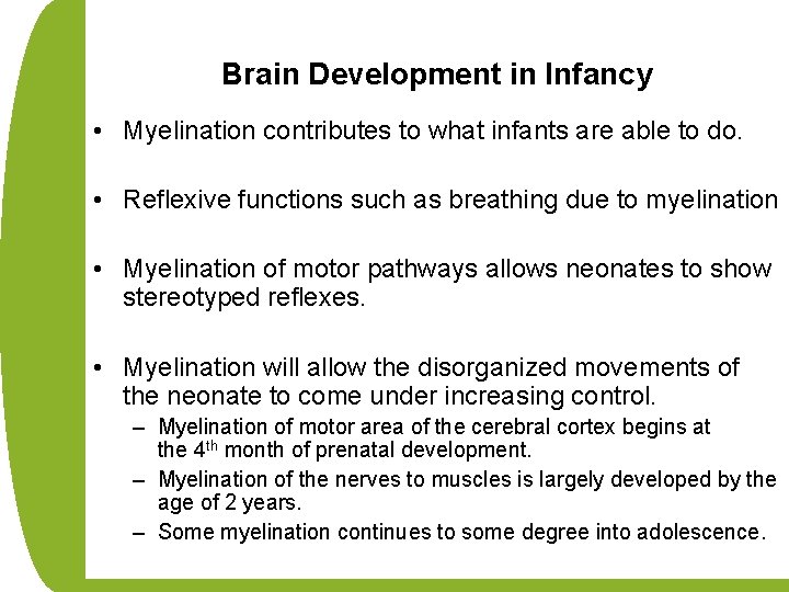 Brain Development in Infancy • Myelination contributes to what infants are able to do.