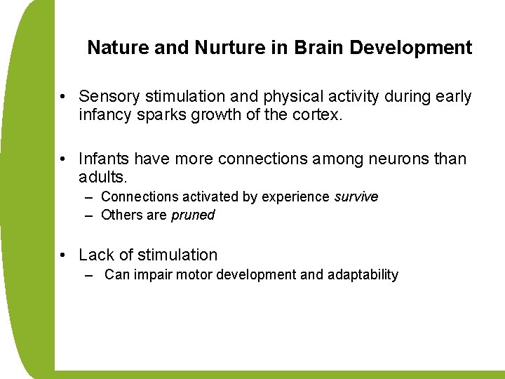 Nature and Nurture in Brain Development • Sensory stimulation and physical activity during early