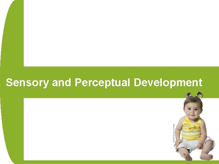 Sensory and Perceptual Development 