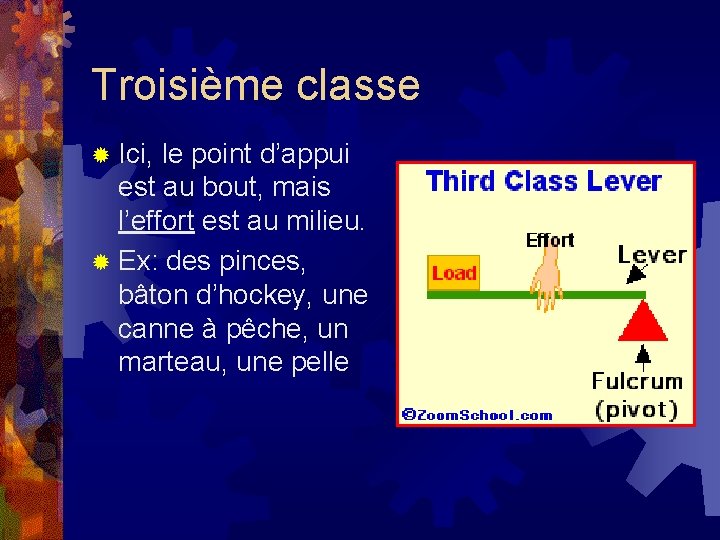 Troisième classe ® Ici, le point d’appui est au bout, mais l’effort est au