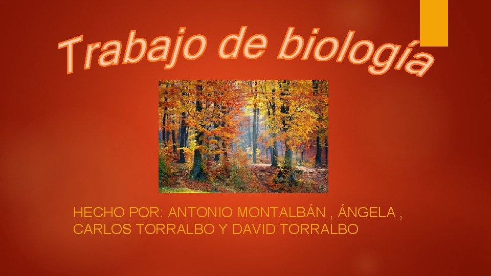 HECHO POR: ANTONIO MONTALBÁN , ÁNGELA , CARLOS TORRALBO Y DAVID TORRALBO 