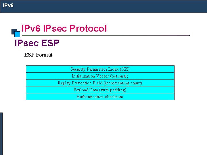 IPv 6 IPsec Protocol IPsec ESP Format Security Parameters Index (SPI) Initialization Vector (optional)