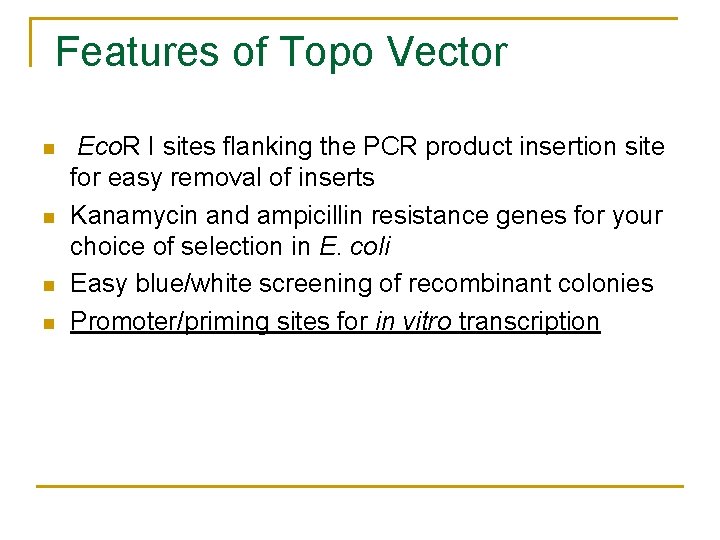 Features of Topo Vector n n Eco. R I sites flanking the PCR product