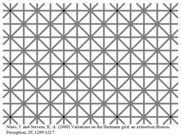 CS 4495 Computer Vision – A. Bobick Motion and Optic Flow Ninio, J. and