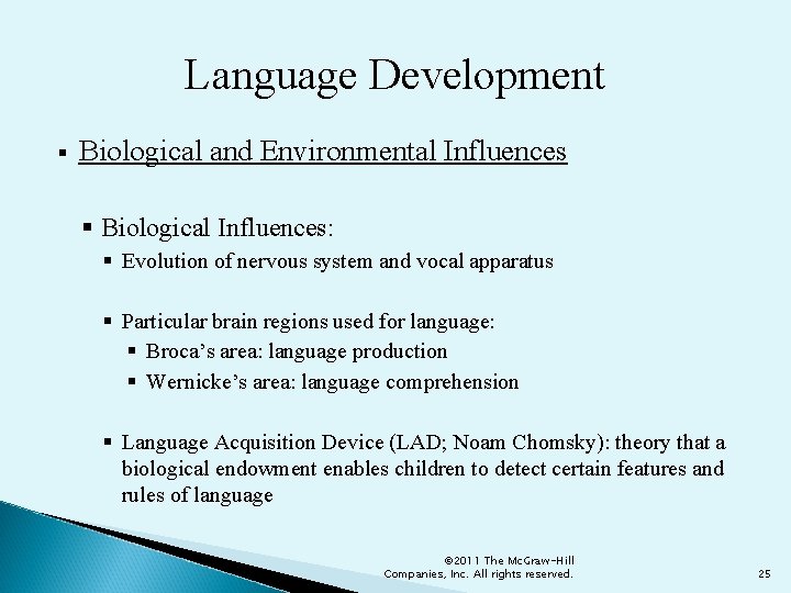 Language Development § Biological and Environmental Influences § Biological Influences: § Evolution of nervous