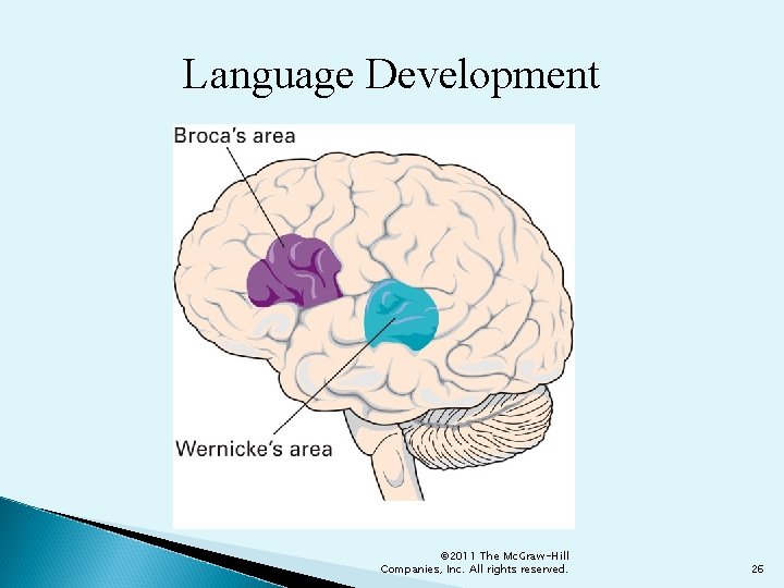 Language Development © 2011 The Mc. Graw-Hill Companies, Inc. All rights reserved. 26 