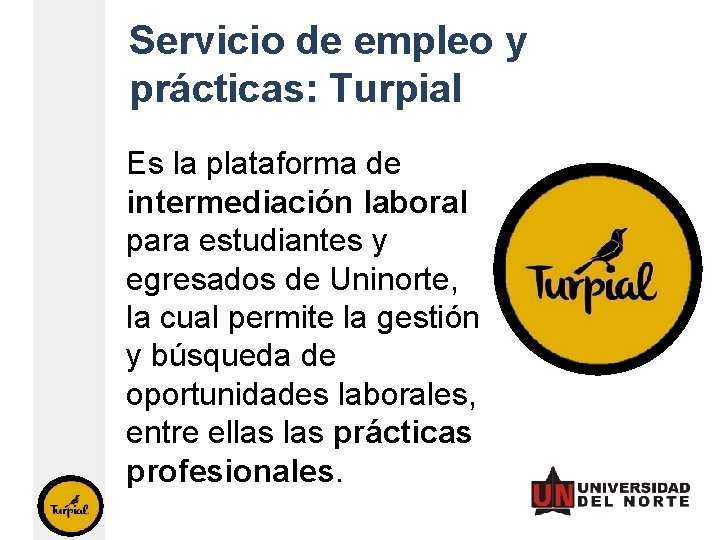 Servicio de empleo y prácticas: Turpial Es la plataforma de intermediación laboral para estudiantes Servicio de empleo y prácticas: Turpial Es la plataforma de intermediación laboral para estudiantes