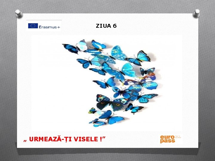 ZIUA 6 „ URMEAZĂ-ȚI VISELE !” 