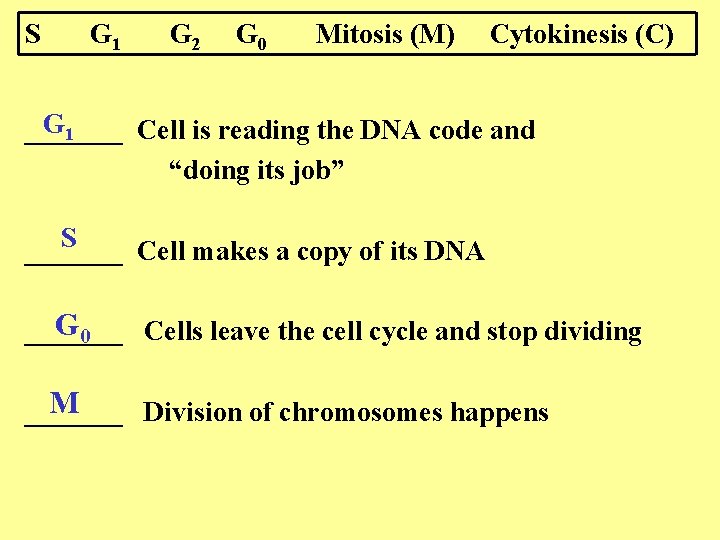 S G 1 G 2 G 0 Mitosis (M) Cytokinesis (C) G 1 _______