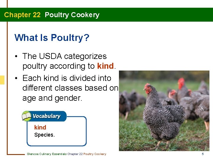 Chapter 22 Poultry Cookery What Is Poultry? • The USDA categorizes poultry according to