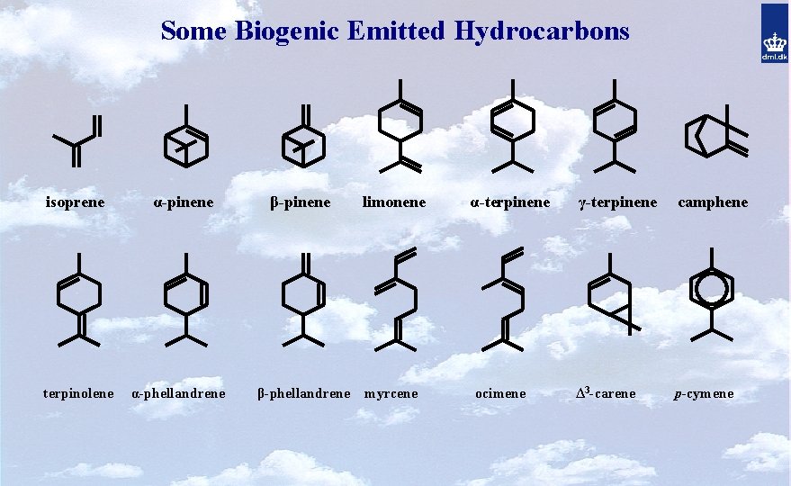 Some Biogenic Emitted Hydrocarbons isoprene terpinolene α-pinene α-phellandrene β-pinene limonene β-phellandrene myrcene α-terpinene ocimene