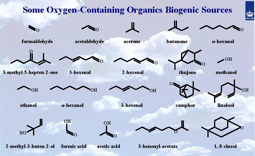 Some Oxygen-Containing Organics Biogenic Sources O O formaldehyde O acetaldehyde acetone butanone n-hexanal O