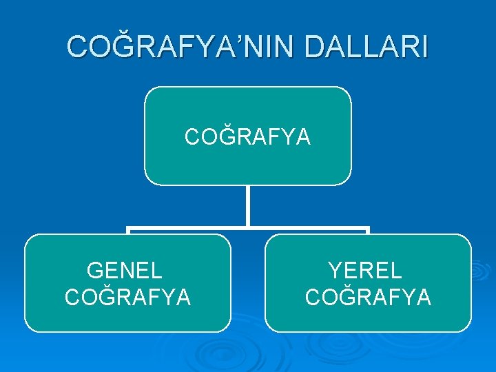 COĞRAFYA’NIN DALLARI COĞRAFYA GENEL COĞRAFYA YEREL COĞRAFYA 