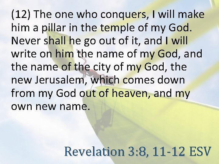 (12) The one who conquers, I will make him a pillar in the temple