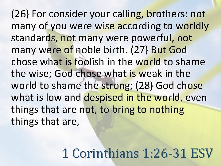 (26) For consider your calling, brothers: not many of you were wise according to