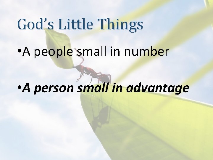 God’s Little Things • A people small in number • A person small in