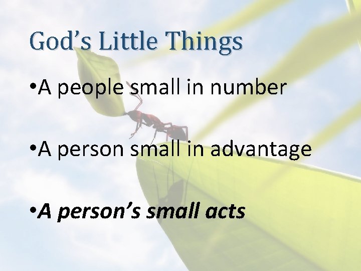 God’s Little Things • A people small in number • A person small in