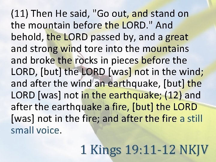 (11) Then He said, "Go out, and stand on the mountain before the LORD.