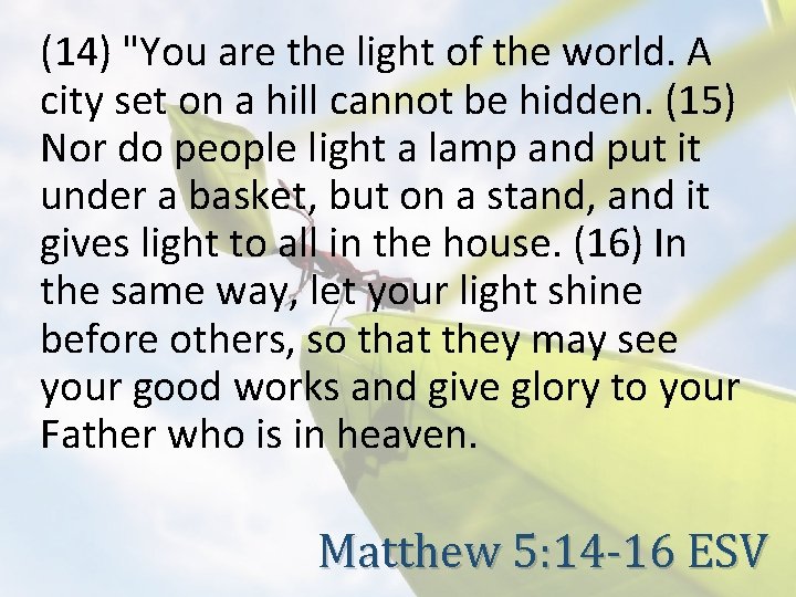 (14) "You are the light of the world. A city set on a hill