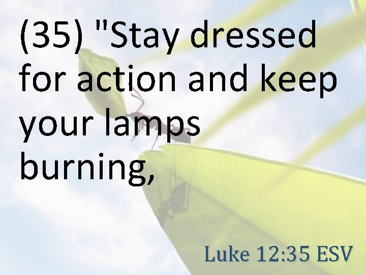 (35) "Stay dressed for action and keep your lamps burning, Luke 12: 35 ESV