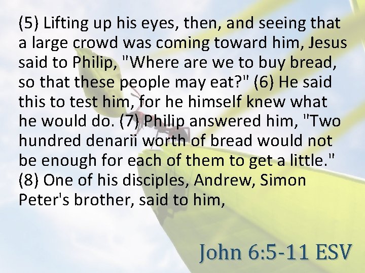 (5) Lifting up his eyes, then, and seeing that a large crowd was coming