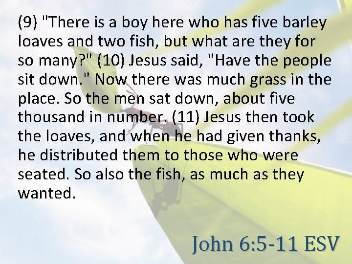 (9) "There is a boy here who has five barley loaves and two fish,