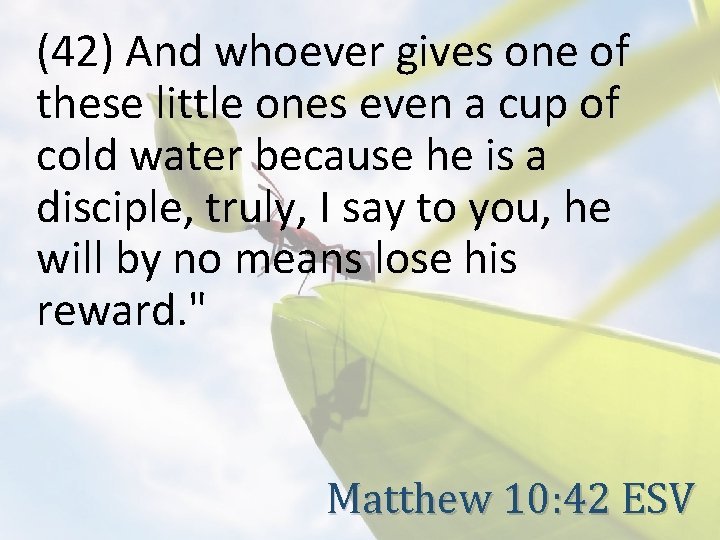 (42) And whoever gives one of these little ones even a cup of cold