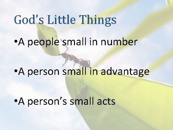God’s Little Things • A people small in number • A person small in