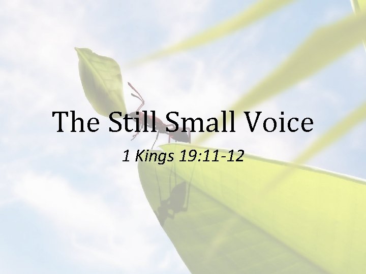 The Still Small Voice 1 Kings 19: 11 -12 