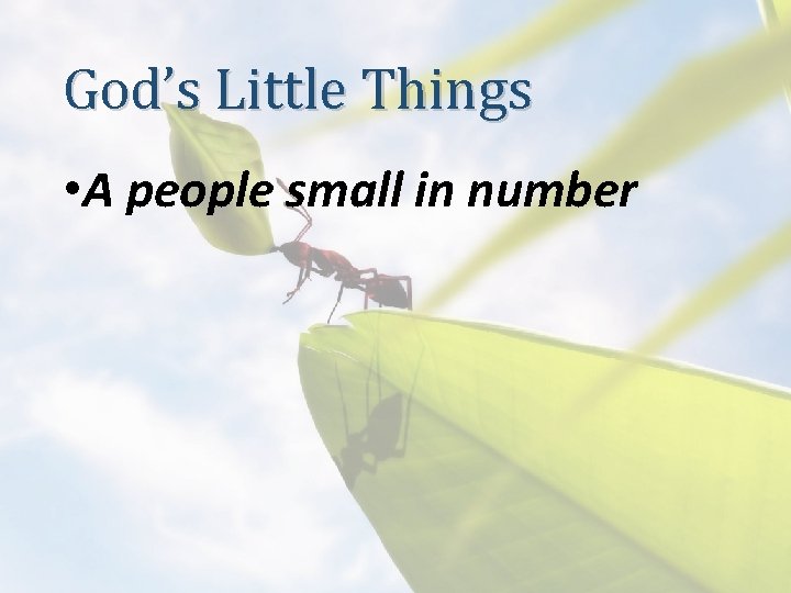 God’s Little Things • A people small in number 