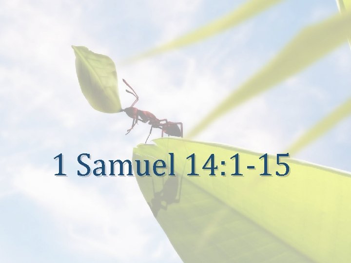 1 Samuel 14: 1 -15 