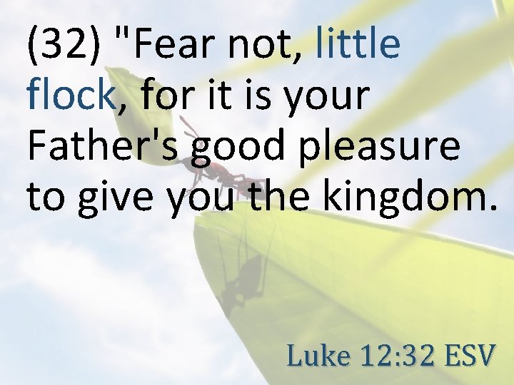 (32) "Fear not, little flock, for it is your Father's good pleasure to give