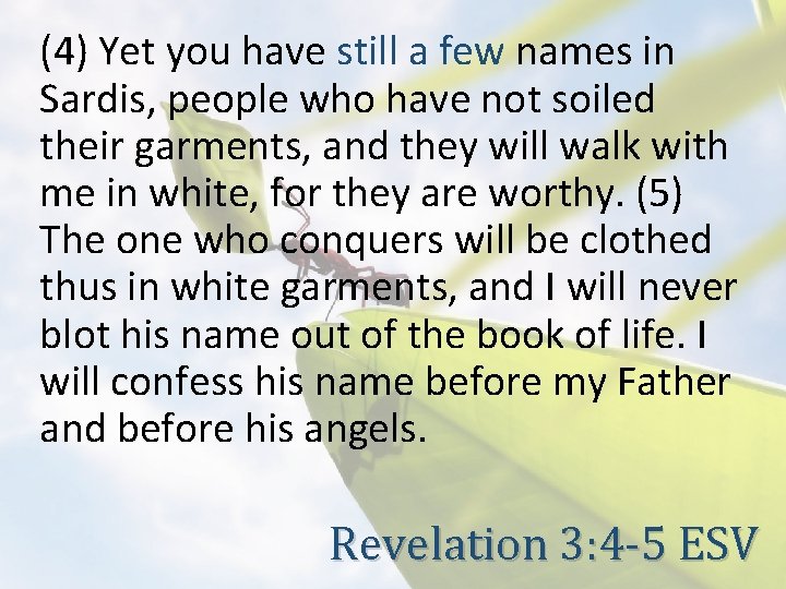 (4) Yet you have still a few names in Sardis, people who have not