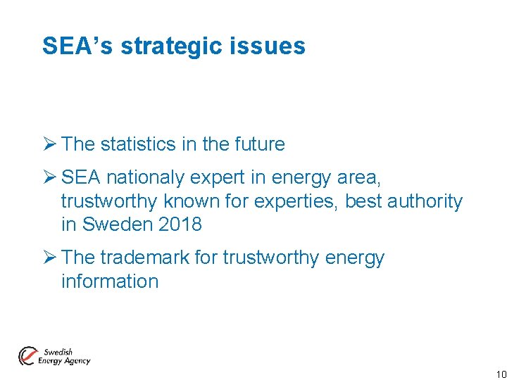 SEA’s strategic issues Ø The statistics in the future Ø SEA nationaly expert in