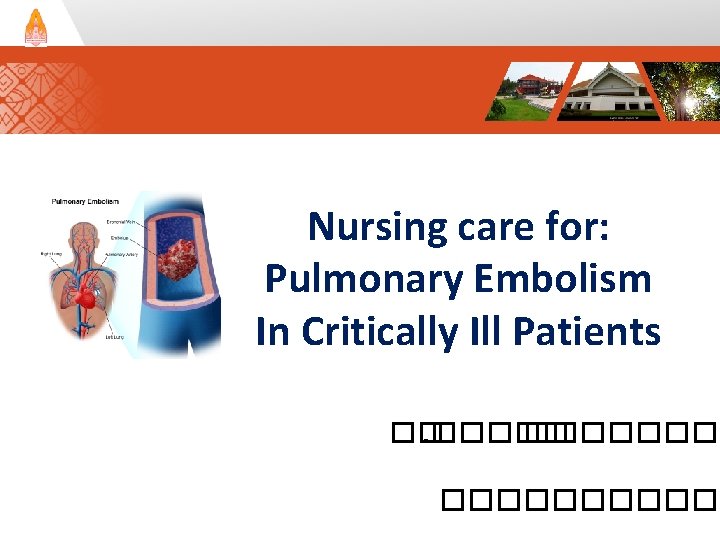 Nursing care for: Pulmonary Embolism In Critically Ill Patients ��. ����������� 