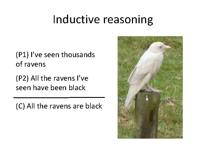 Inductive reasoning (P 1) I’ve seen thousands of ravens (P 2) All the ravens