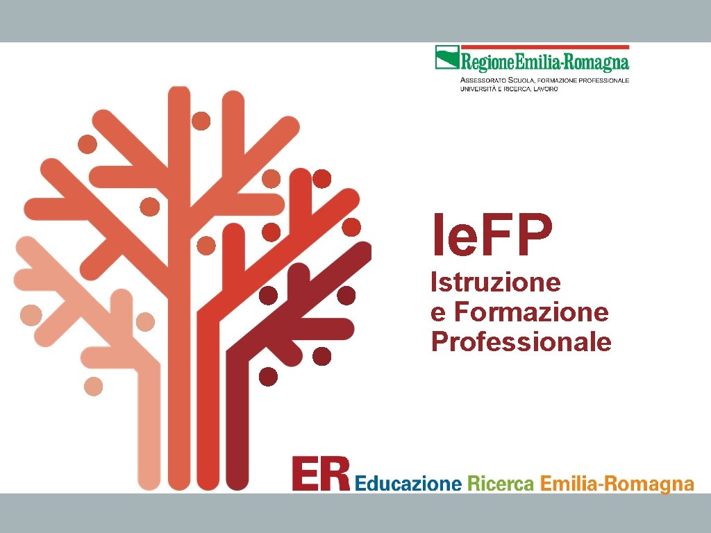 Ie. FP Istruzione e Formazione Professionale 