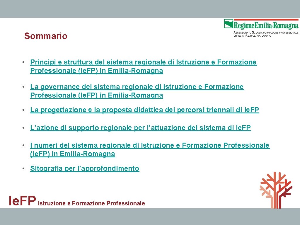 Sommario • Principi e struttura del sistema regionale di Istruzione e Formazione Professionale (Ie.