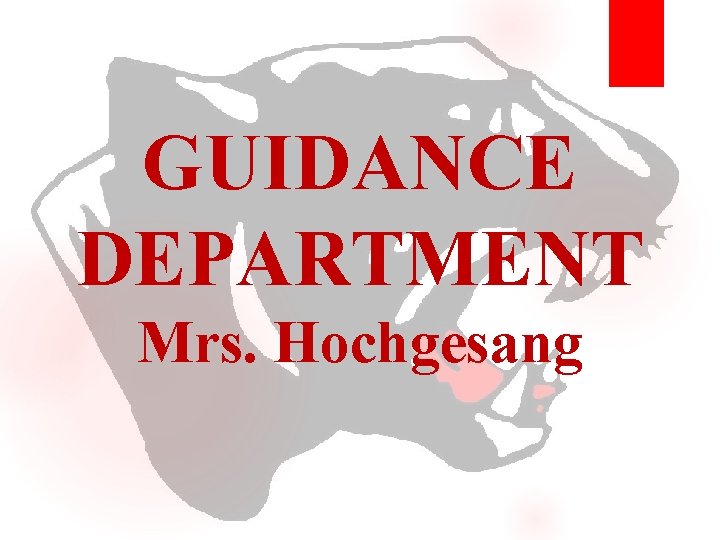 GUIDANCE DEPARTMENT Mrs. Hochgesang GUIDANCE DEPARTMENT Mrs. Hochgesang