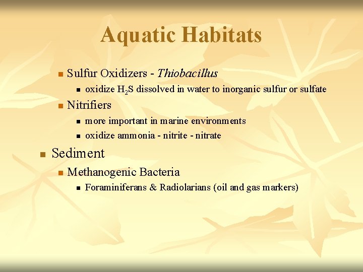 Aquatic Habitats n Sulfur Oxidizers - Thiobacillus n n Nitrifiers n n n oxidize