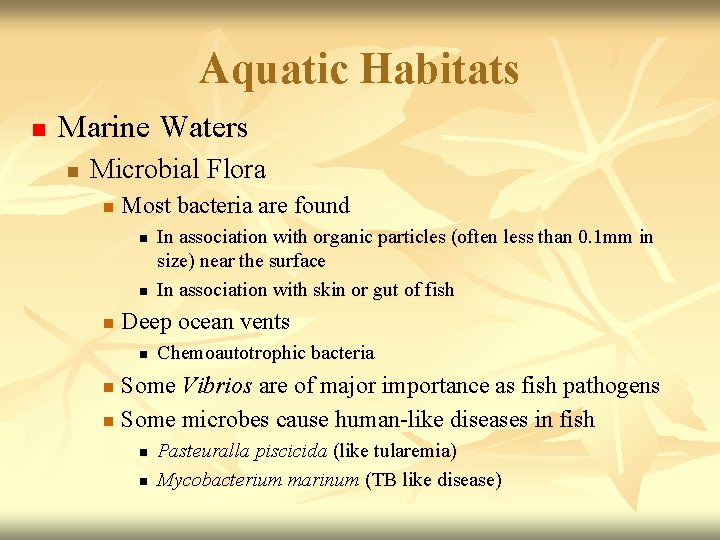 Aquatic Habitats n Marine Waters n Microbial Flora n Most bacteria are found n