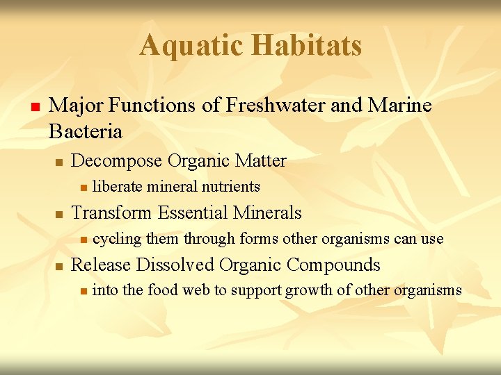 Aquatic Habitats n Major Functions of Freshwater and Marine Bacteria n Decompose Organic Matter