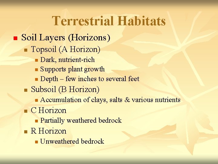 Terrestrial Habitats n Soil Layers (Horizons) n Topsoil (A Horizon) Dark, nutrient-rich n Supports