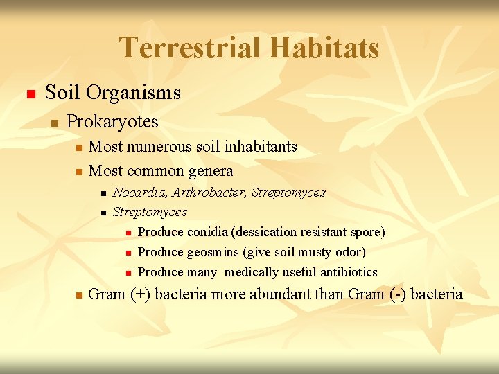 Terrestrial Habitats n Soil Organisms n Prokaryotes Most numerous soil inhabitants n Most common