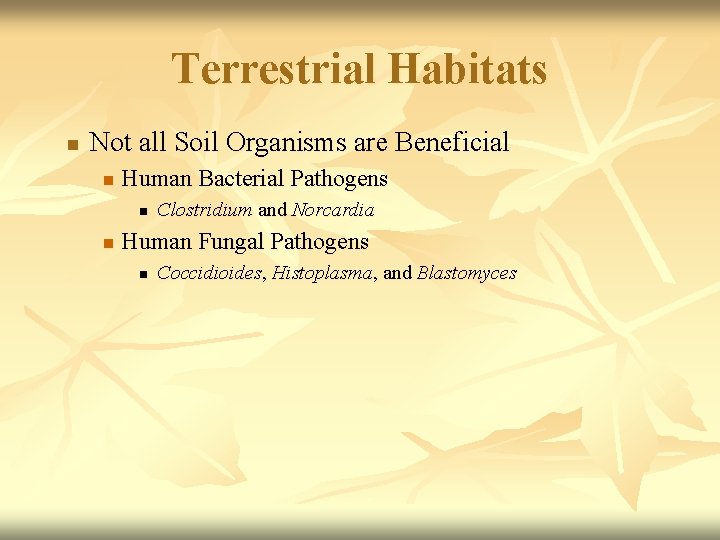 Terrestrial Habitats n Not all Soil Organisms are Beneficial n Human Bacterial Pathogens n