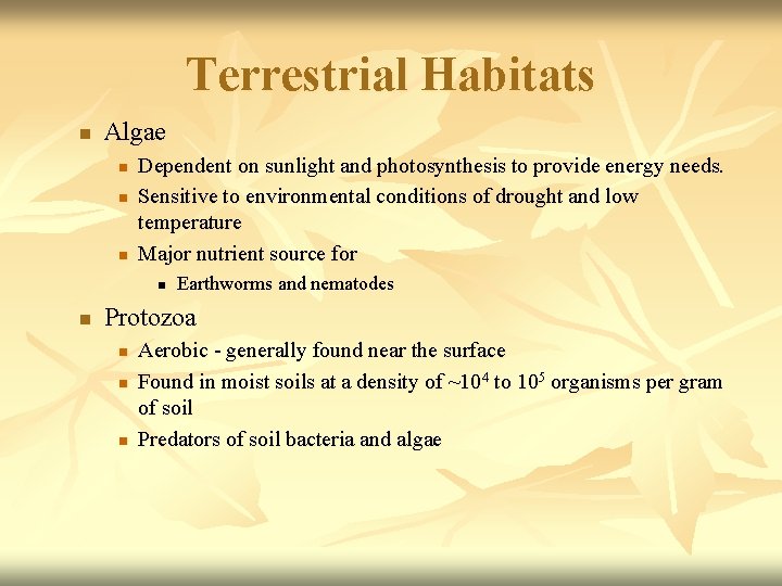 Terrestrial Habitats n Algae n n n Dependent on sunlight and photosynthesis to provide