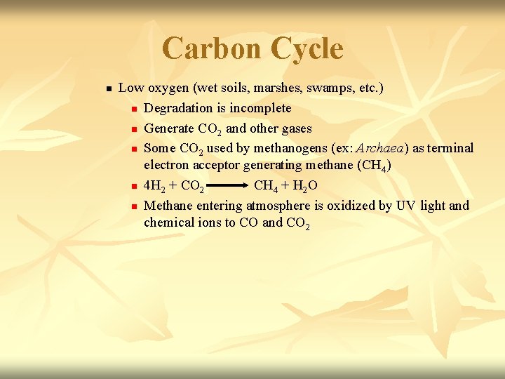 Carbon Cycle n Low oxygen (wet soils, marshes, swamps, etc. ) n Degradation is